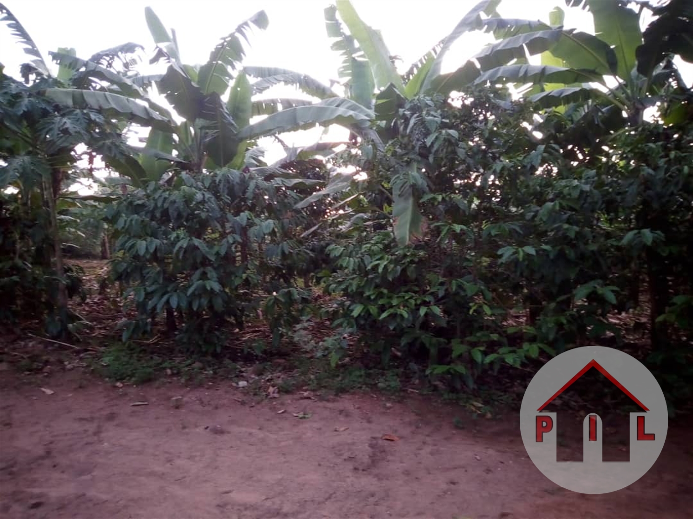 Residential Land for sale in Kyampisi Mukono