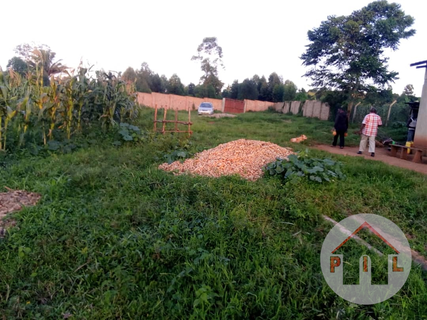 Agricultural Land for sale in Nakisunga Mukono