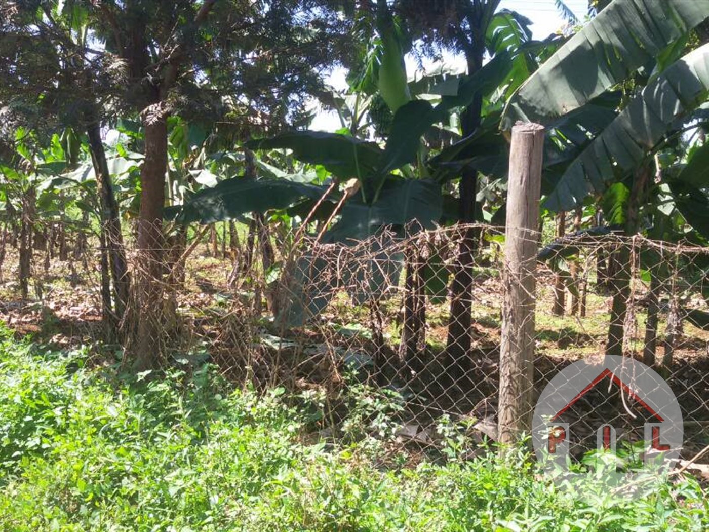 Agricultural Land for sale in Entebbe Bugiri