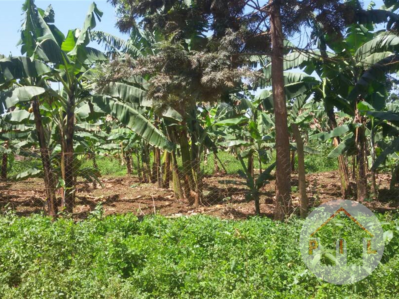 Agricultural Land for sale in Entebbe Bugiri