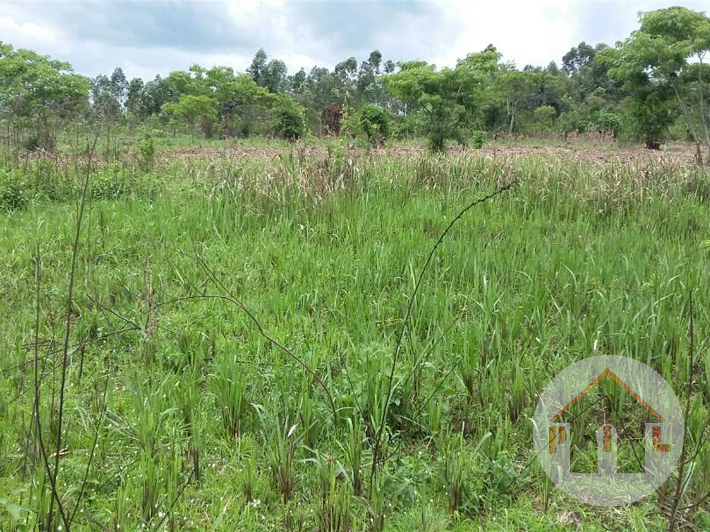 Agricultural Land for sale in Kassanda Mityana