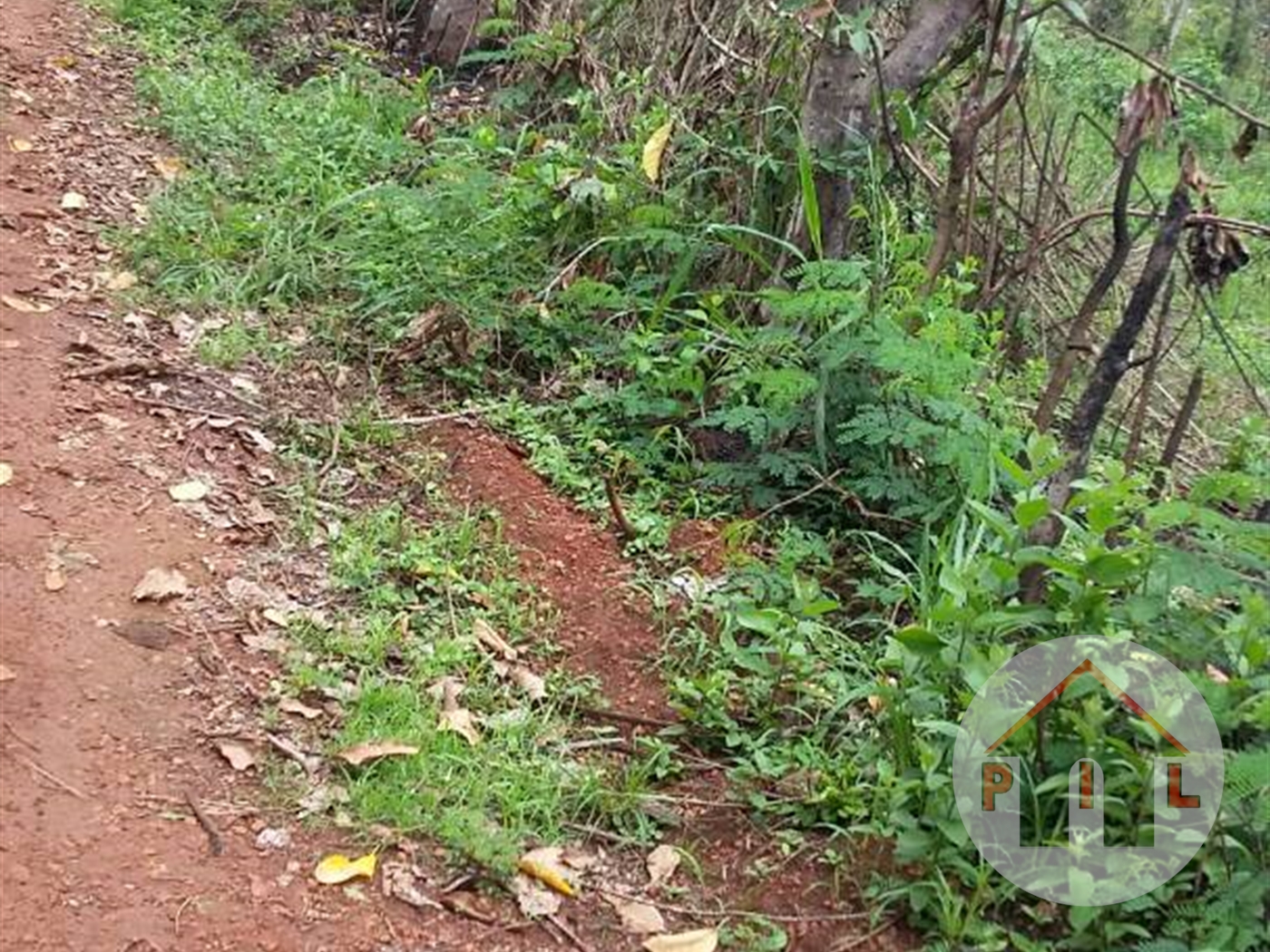 Agricultural Land for sale in Kassanda Mityana