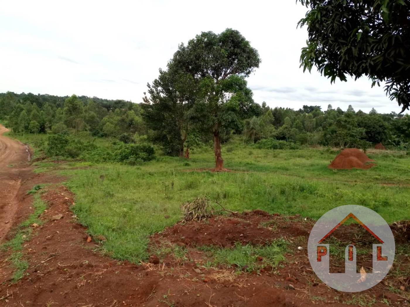 Agricultural Land for sale in Matugga Wakiso