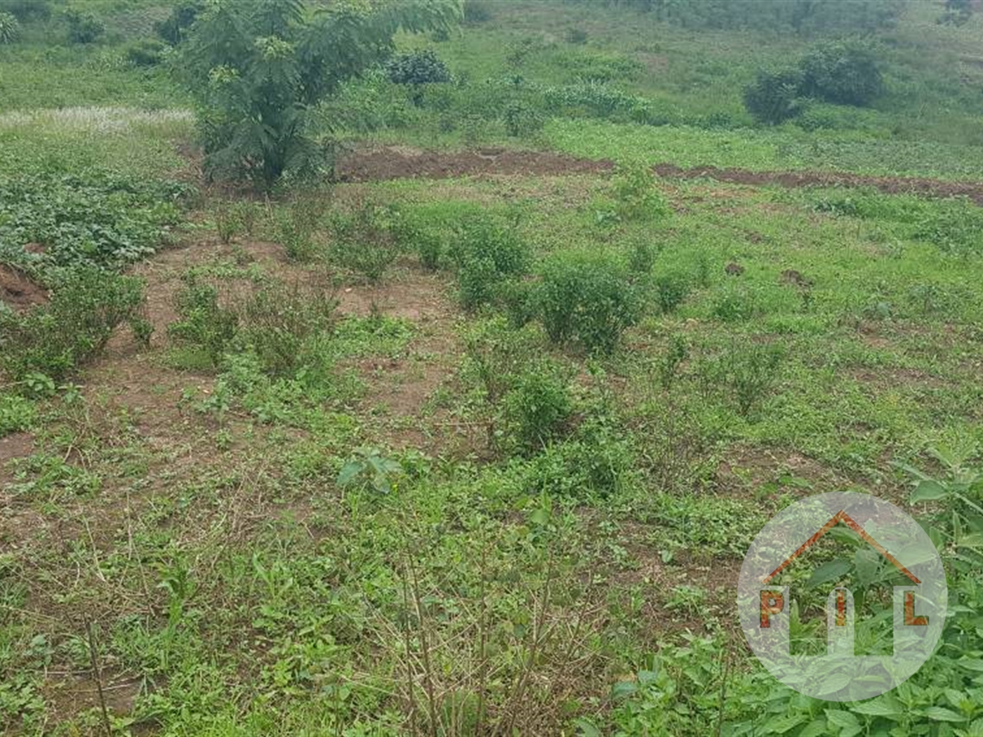 Commercial Land for sale in Buwambo Wakiso