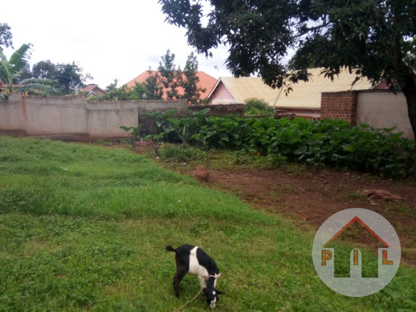 Commercial Land for sale in Ntinda Kampala