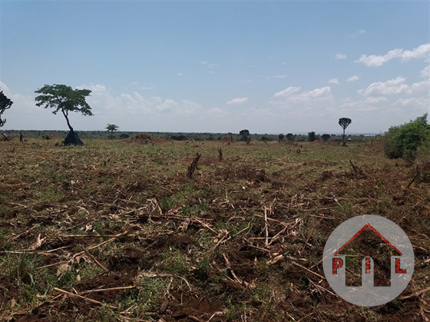 Residential Land for sale in Nsambwe Mukono