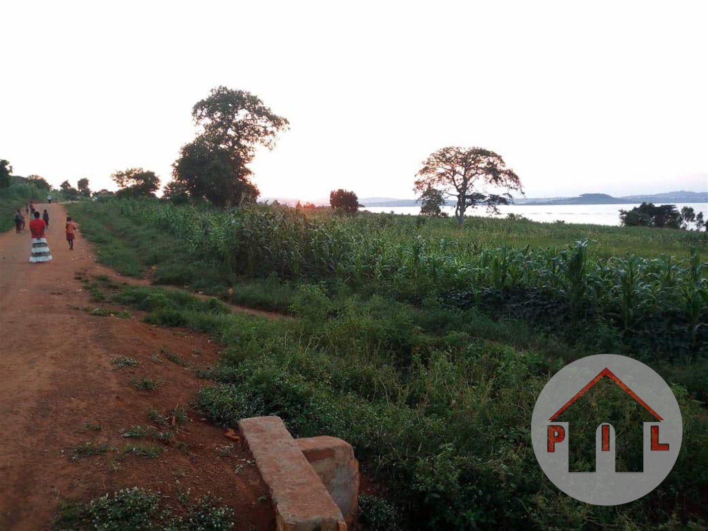 Agricultural Land for sale in Busana Wakiso