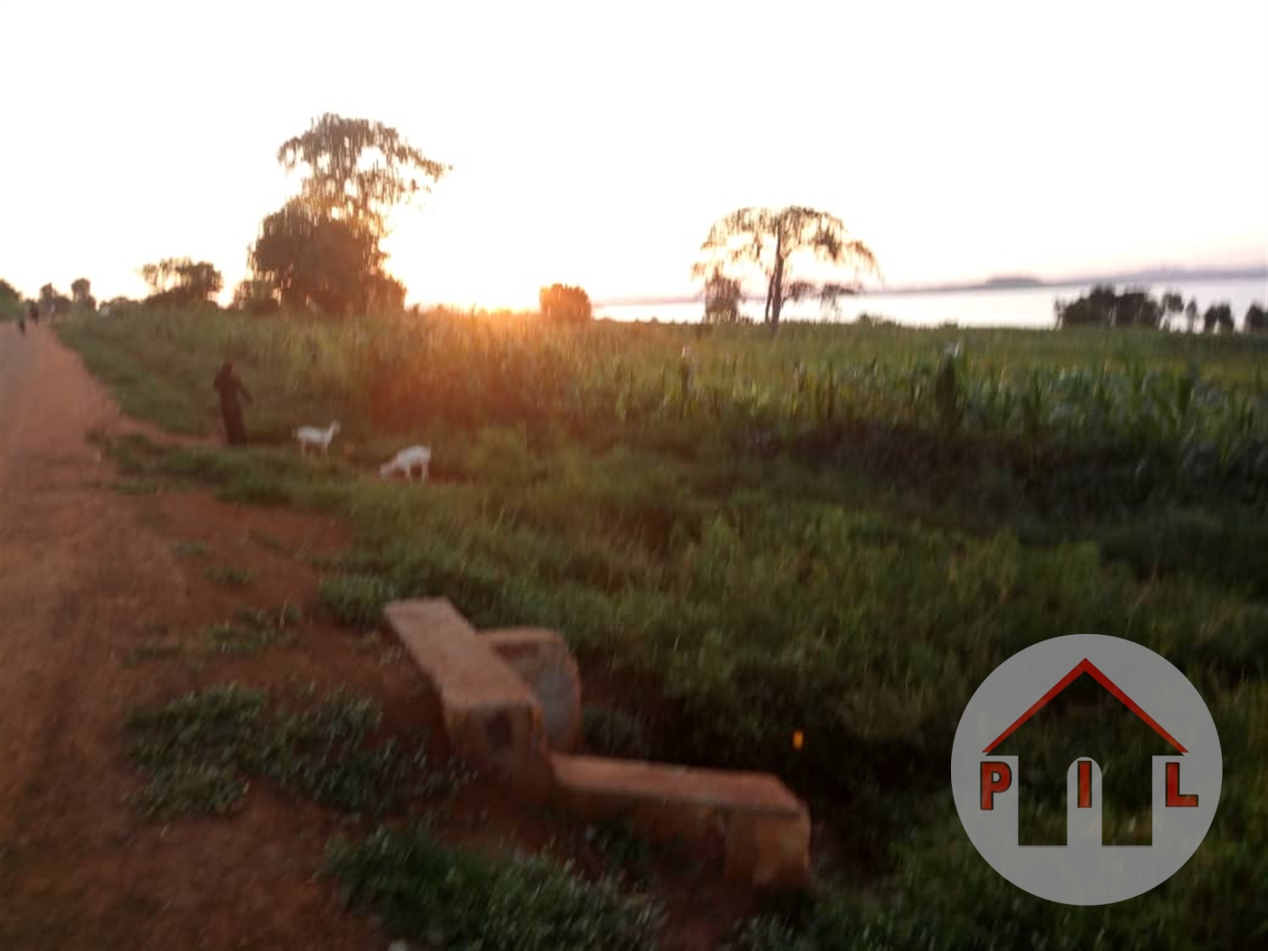 Agricultural Land for sale in Busana Wakiso