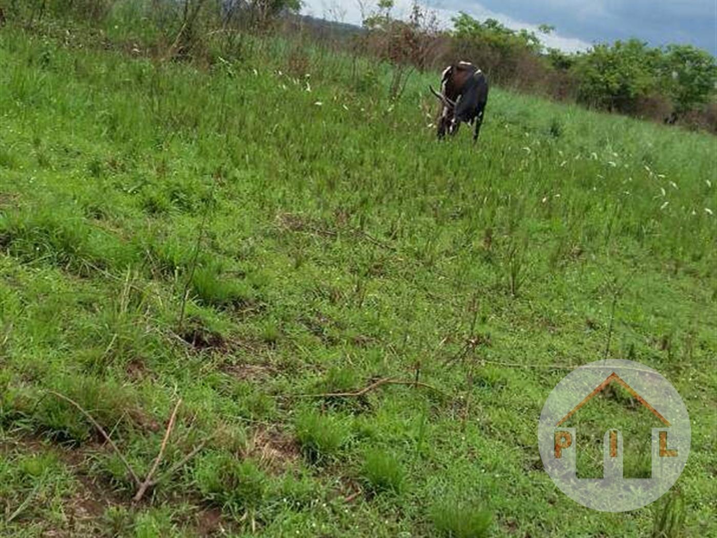 Agricultural Land for sale in Bwebajja Kampala