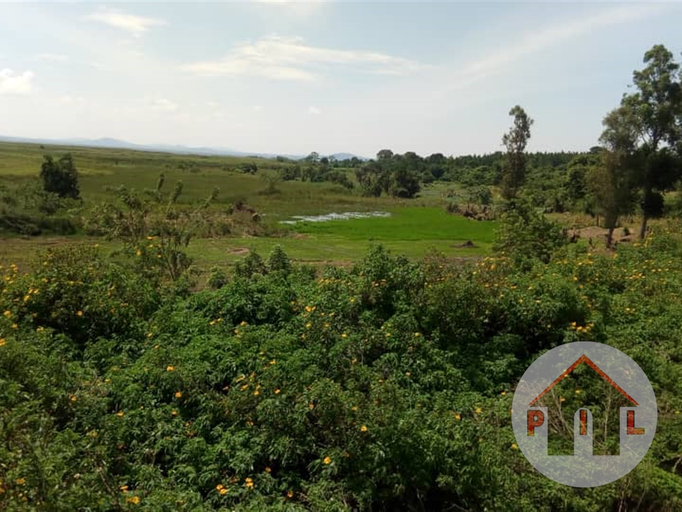 Commercial Land for sale in Kyaliwajjala Wakiso