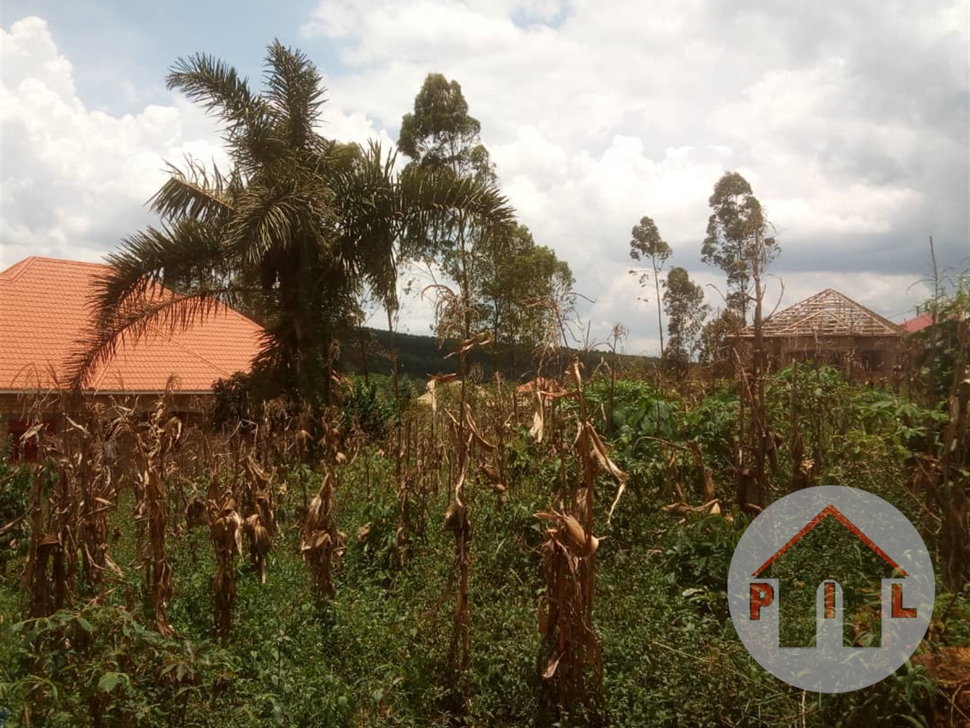 Residential Land for sale in Seeta Mukono