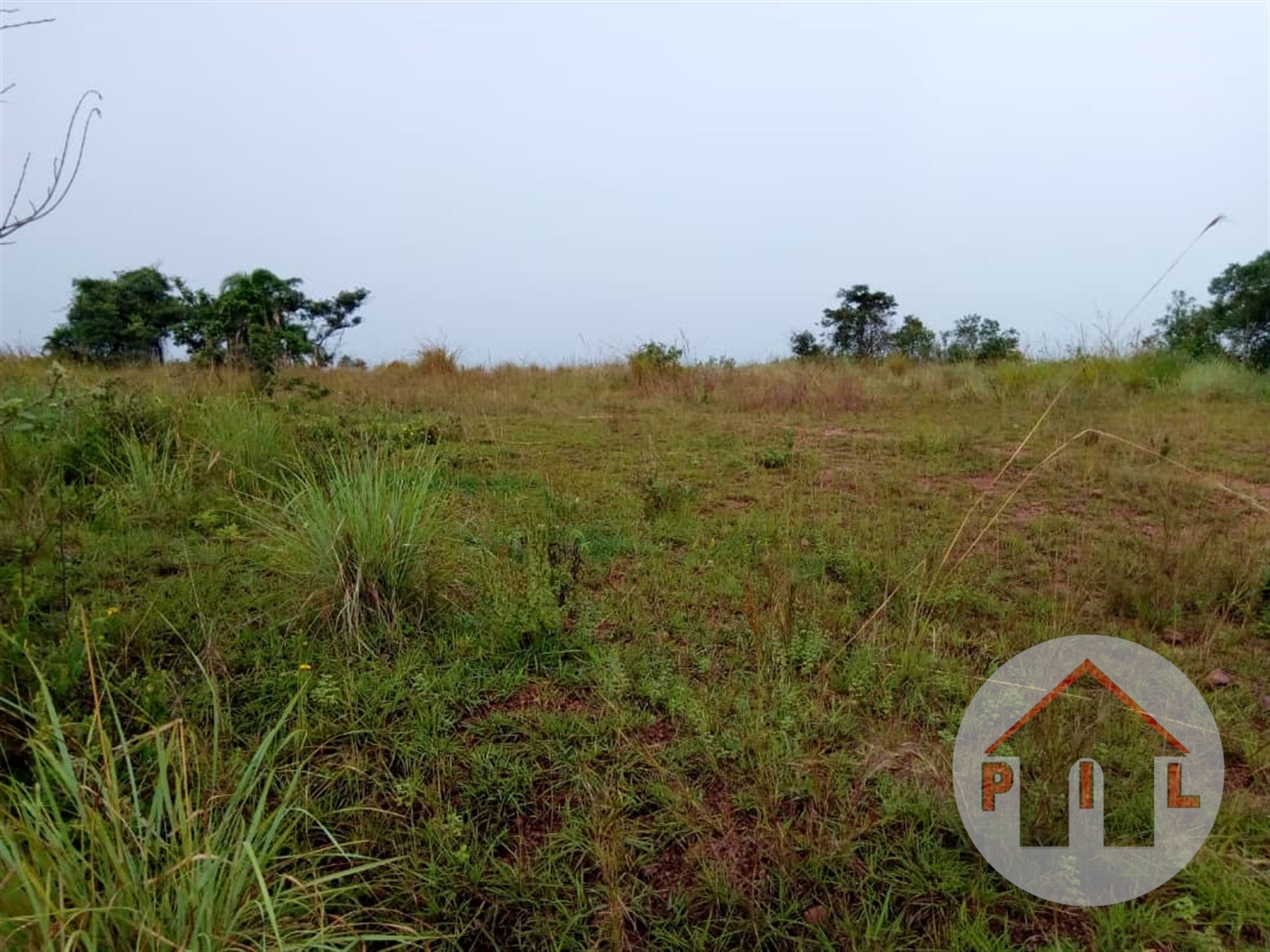 Agricultural Land for sale in Kikyuusa Luweero