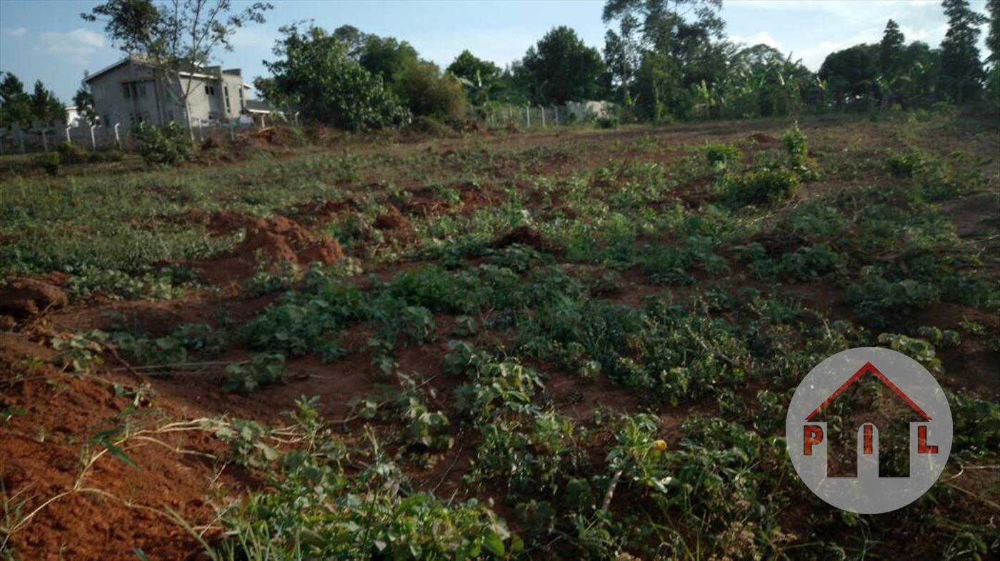 Agricultural Land for sale in Buwaate Wakiso