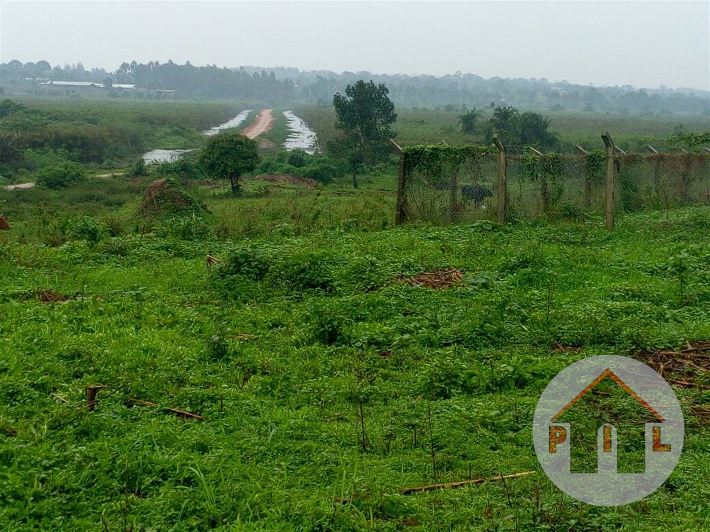 Commercial Land for sale in Busiika Wakiso