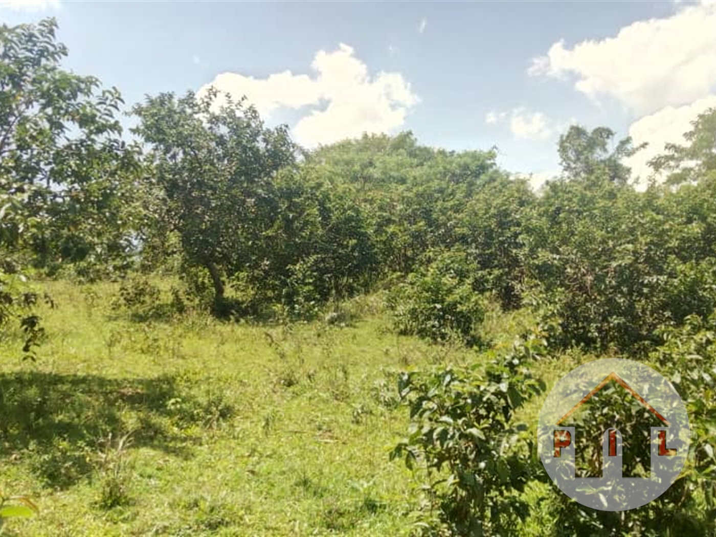 Residential Land for sale in Kira Wakiso