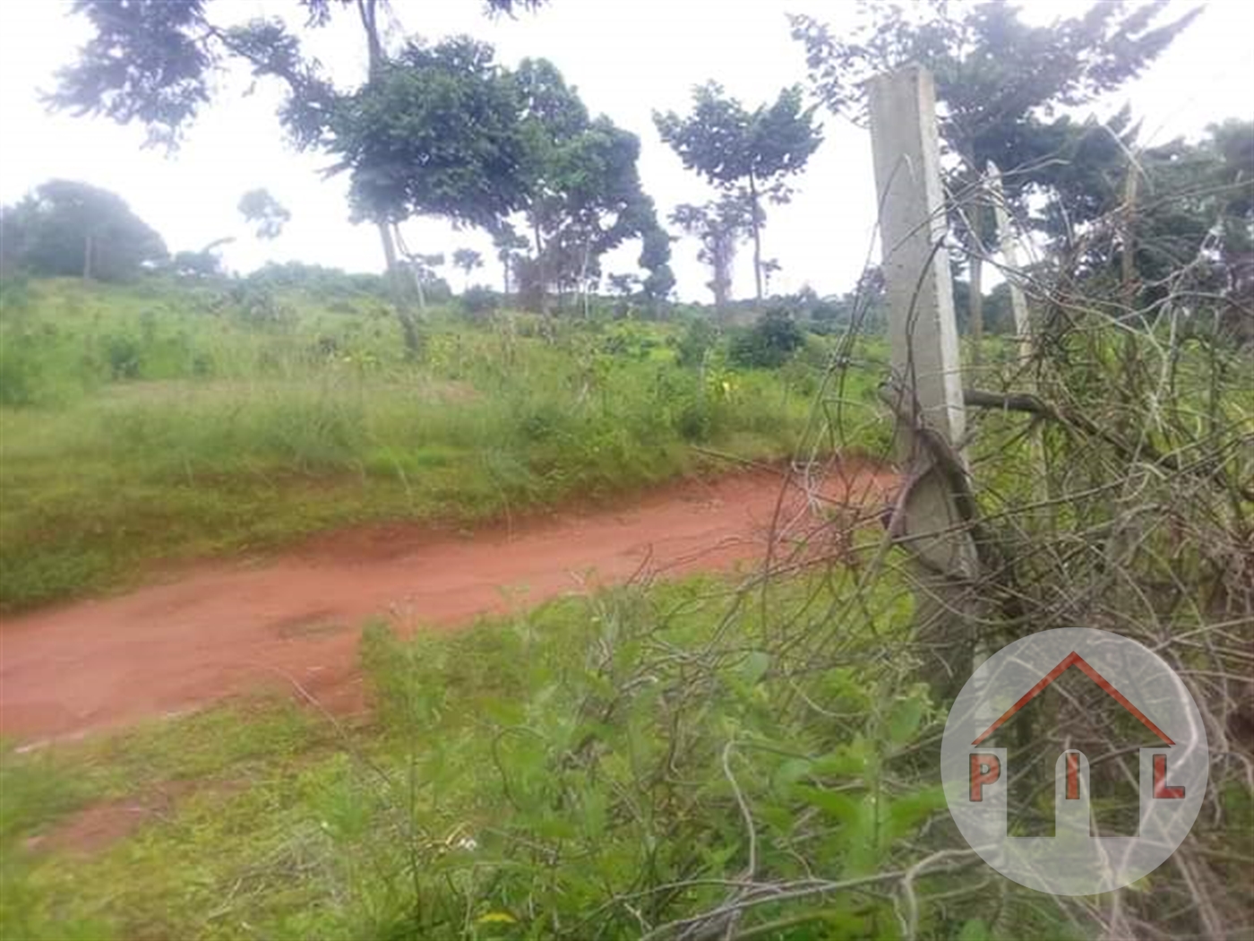 Agricultural Land for sale in Nkokonjeru Mukono