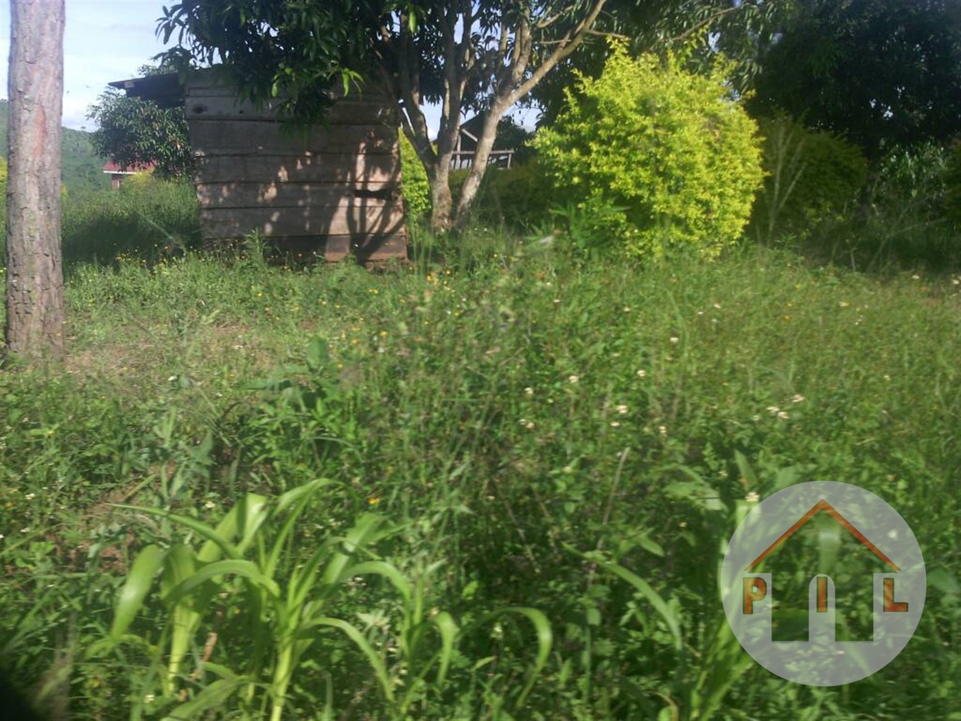 Agricultural Land for sale in Madudu Mubende