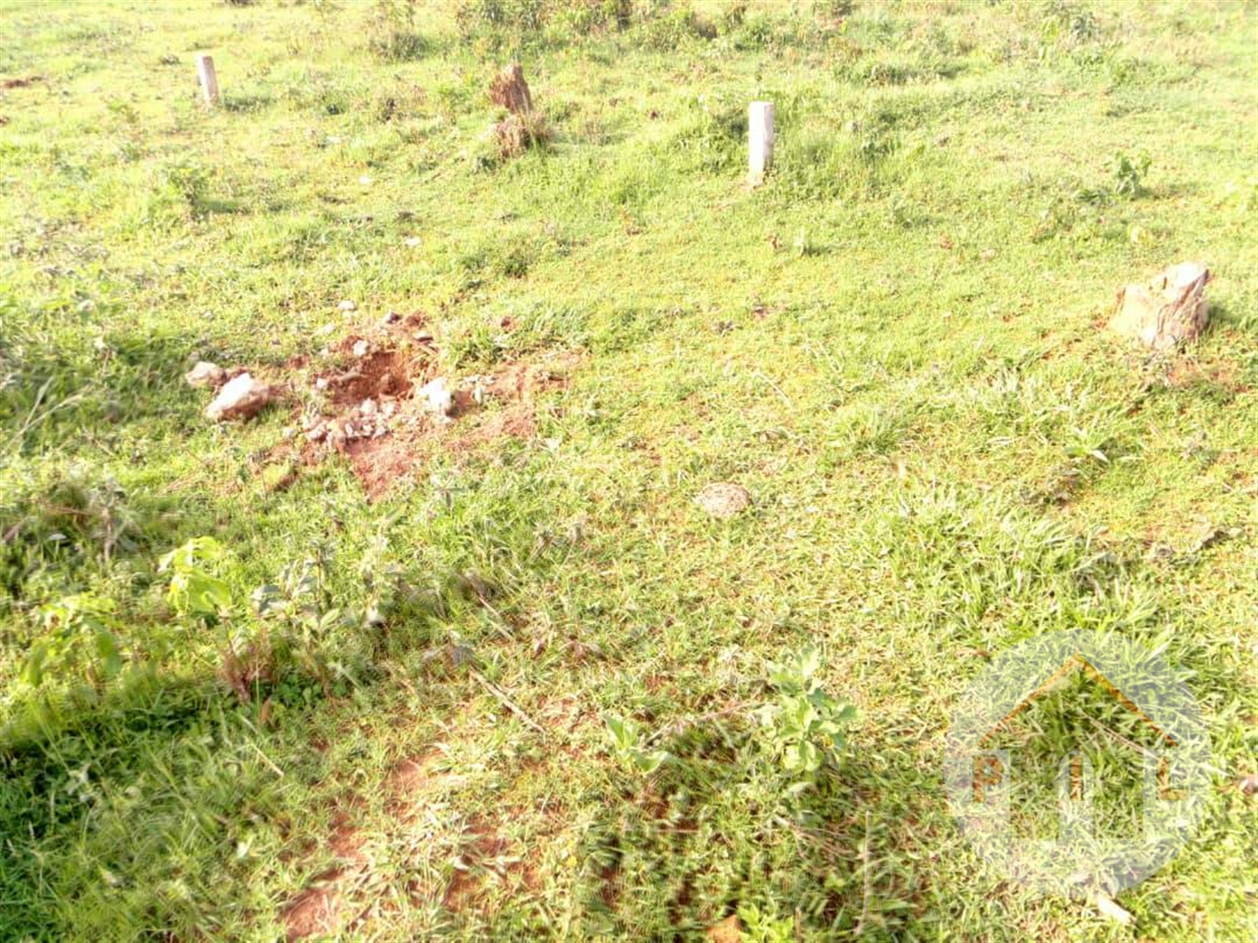 Residential Land for sale in Nkumba Wakiso