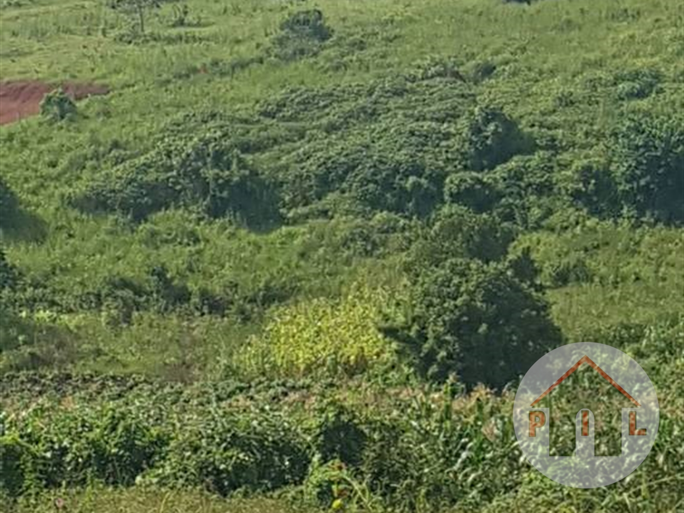 Agricultural Land for sale in Matugga Wakiso