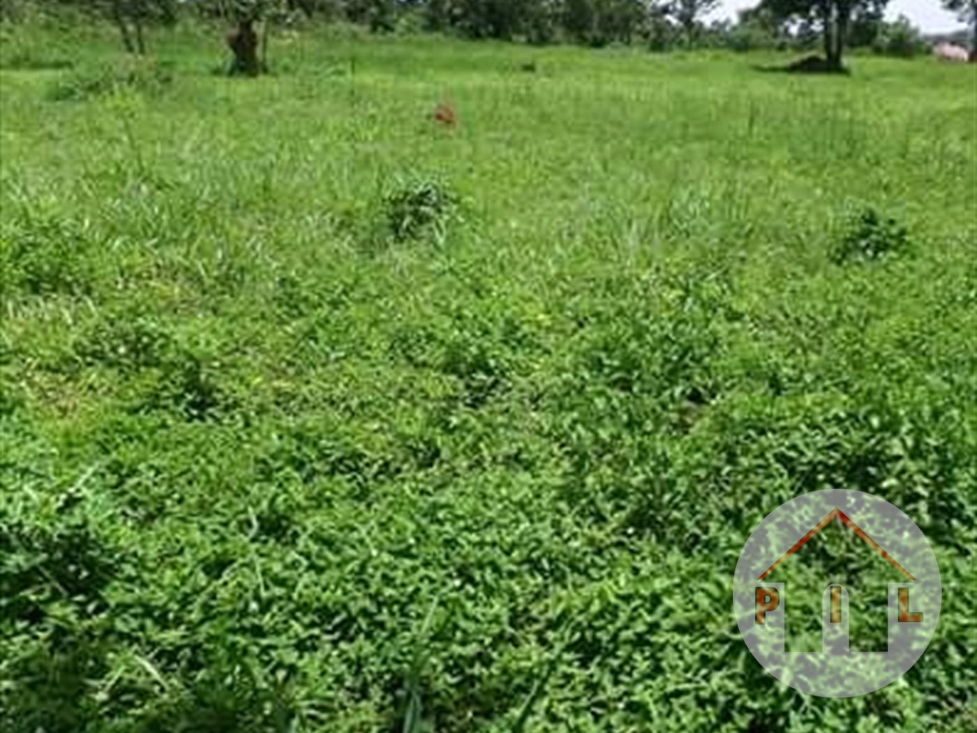 Agricultural Land for sale in Kayabwe Masaka