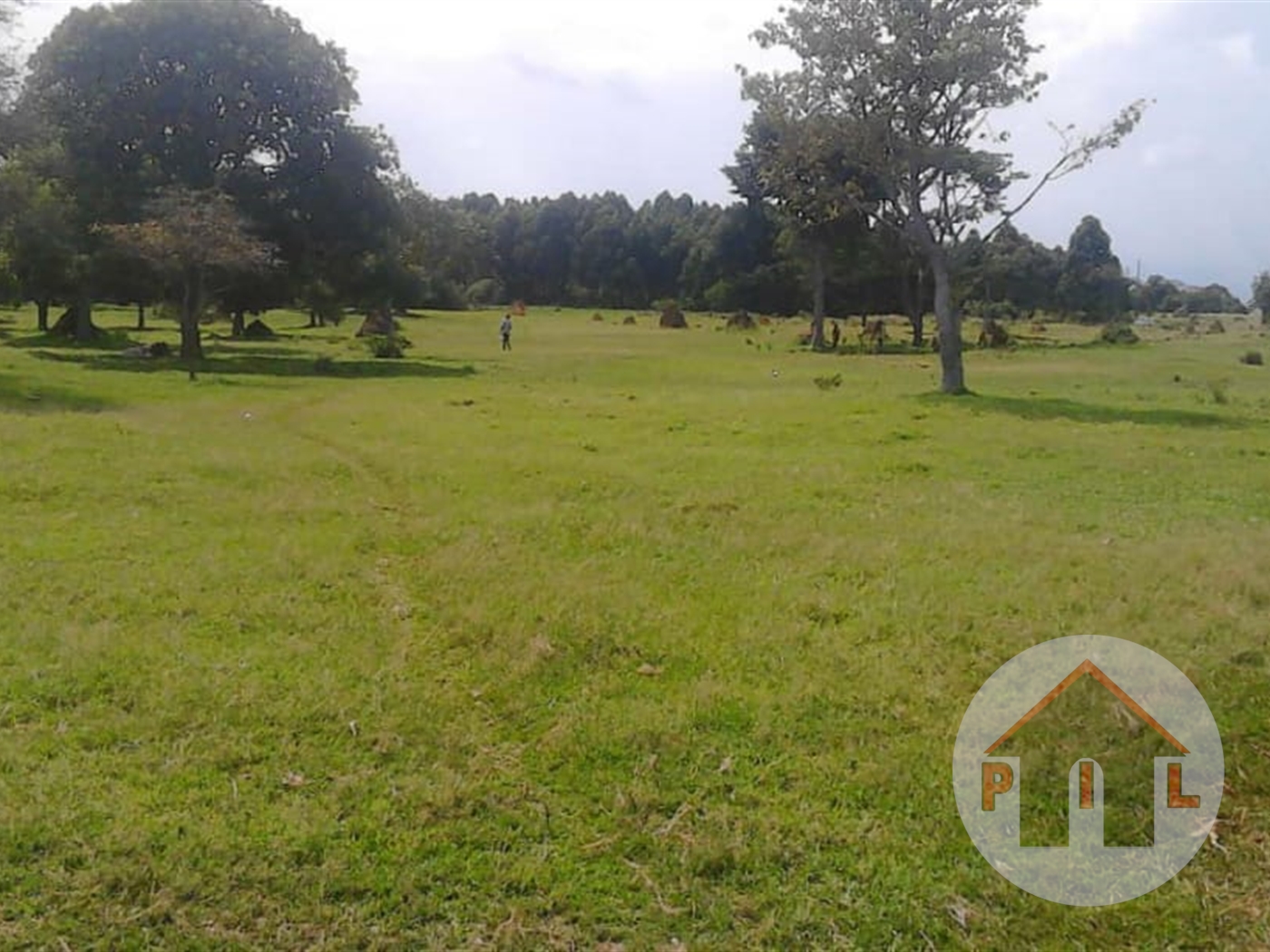 Agricultural Land for sale in Garuga Wakiso