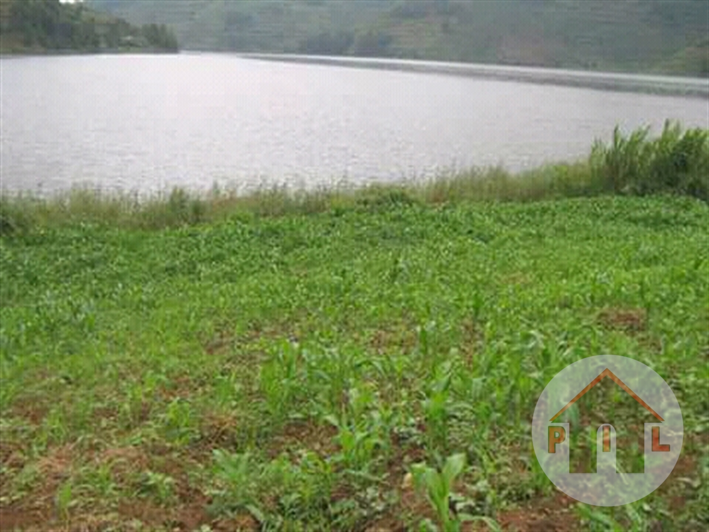 Agricultural Land for sale in Buwaya Wakiso