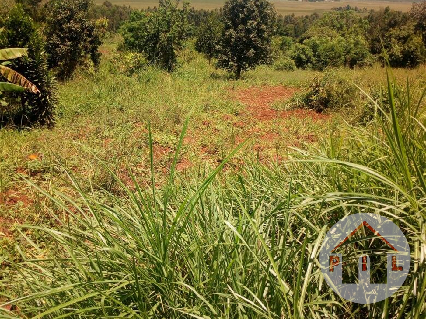 Agricultural Land for sale in Bukasa Wakiso