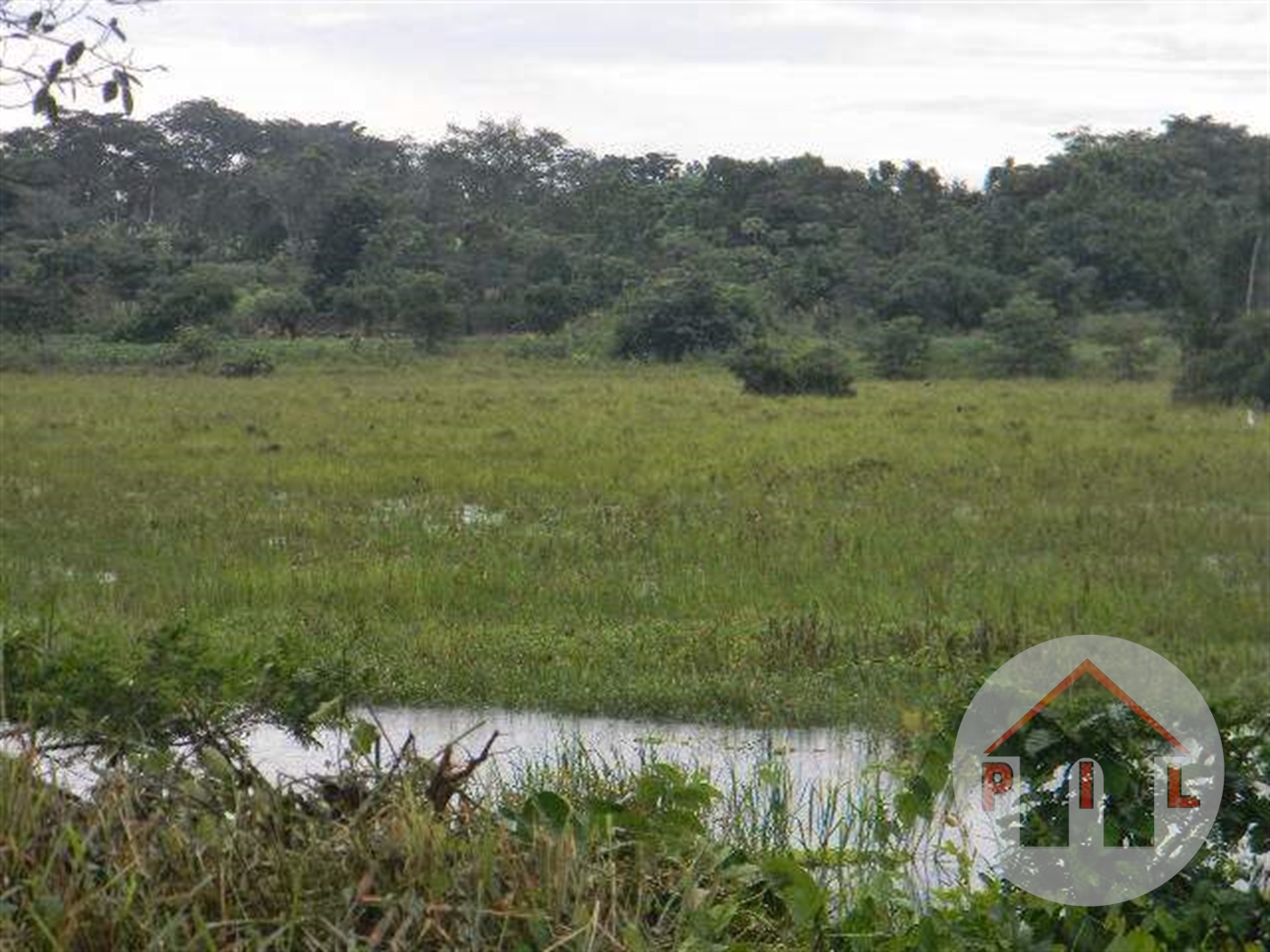 Agricultural Land for sale in Namasagali Jinja