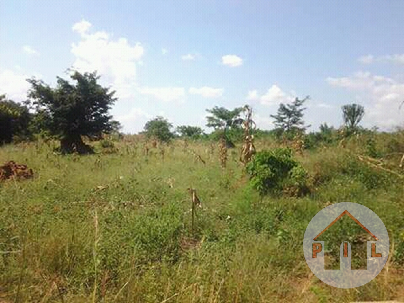 Agricultural Land for sale in Namasagali Jinja