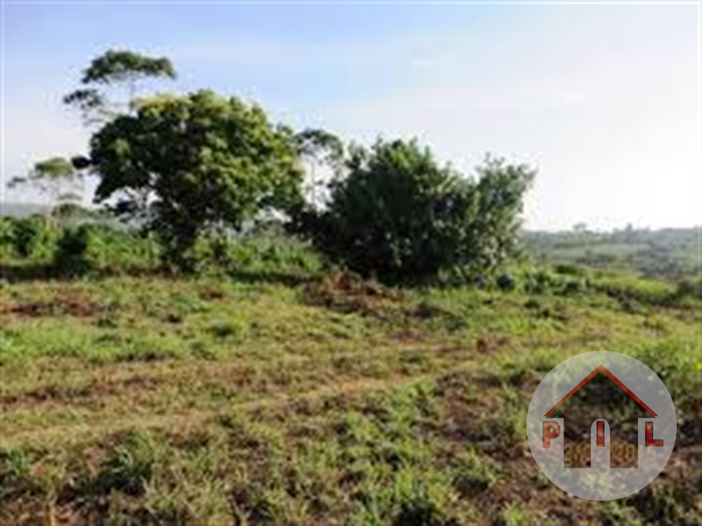 Agricultural Land for sale in Bwelenga Wakiso