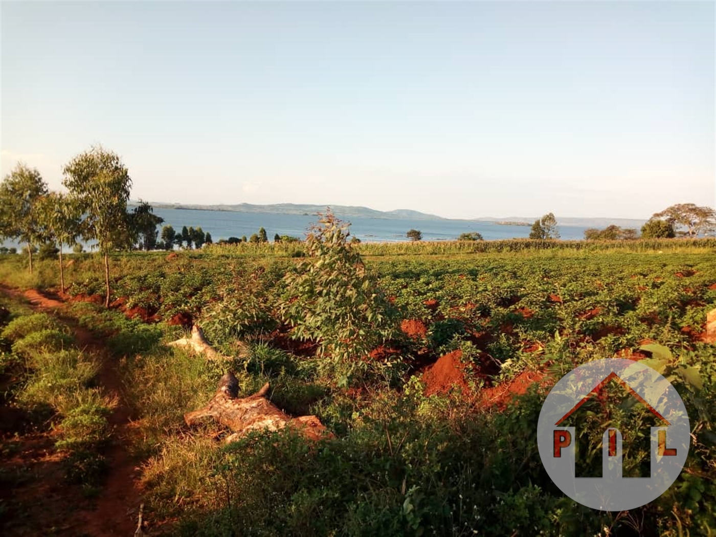 Agricultural Land for sale in Bwebajja Wakiso