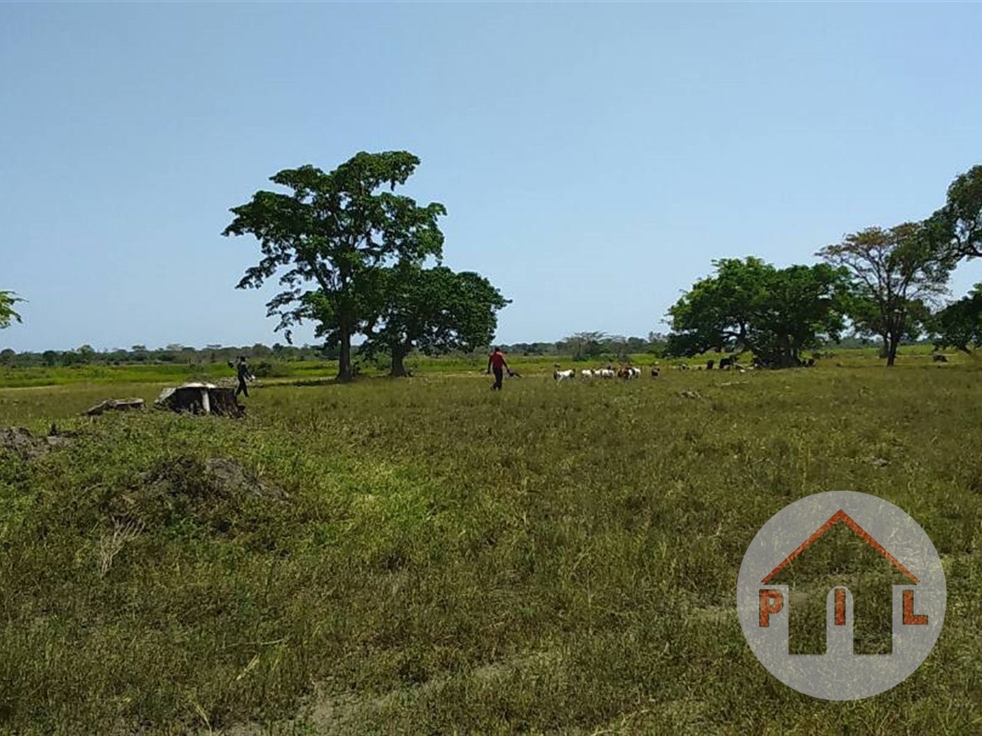 Agricultural Land for sale in Mubende Mubende