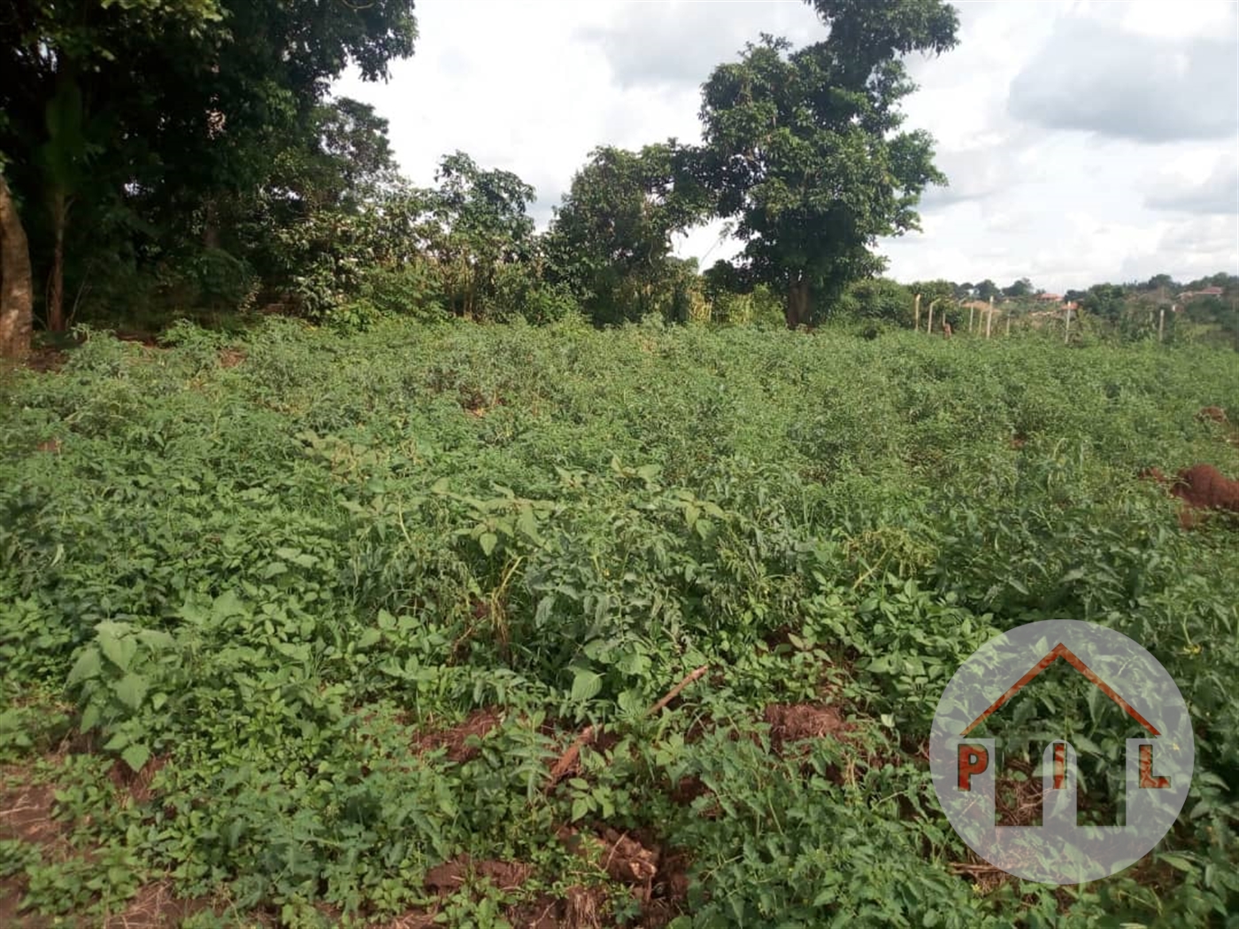 Residential Land for sale in Namugongo Wakiso