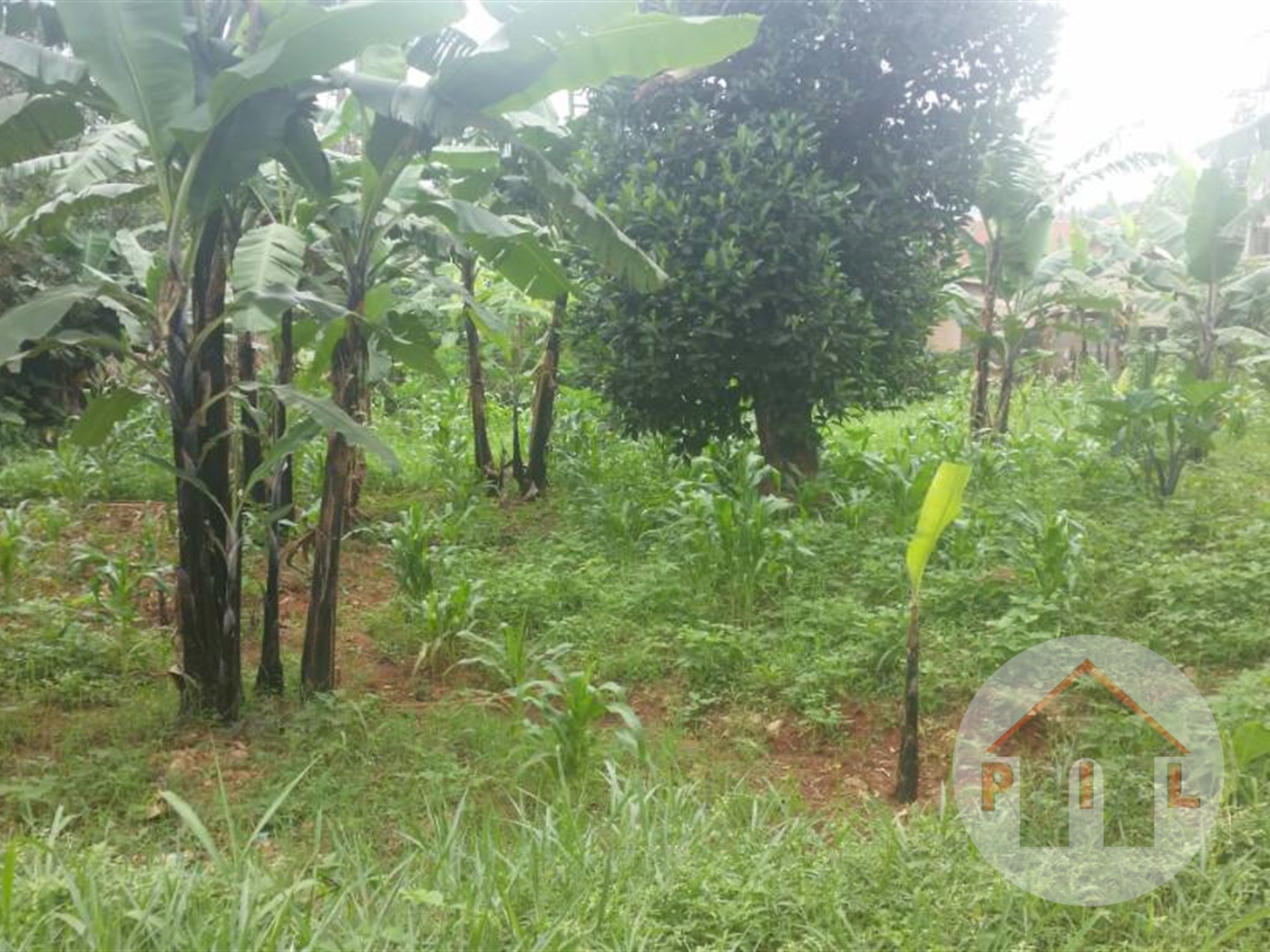 Residential Land for sale in Kiwaatule Kampala