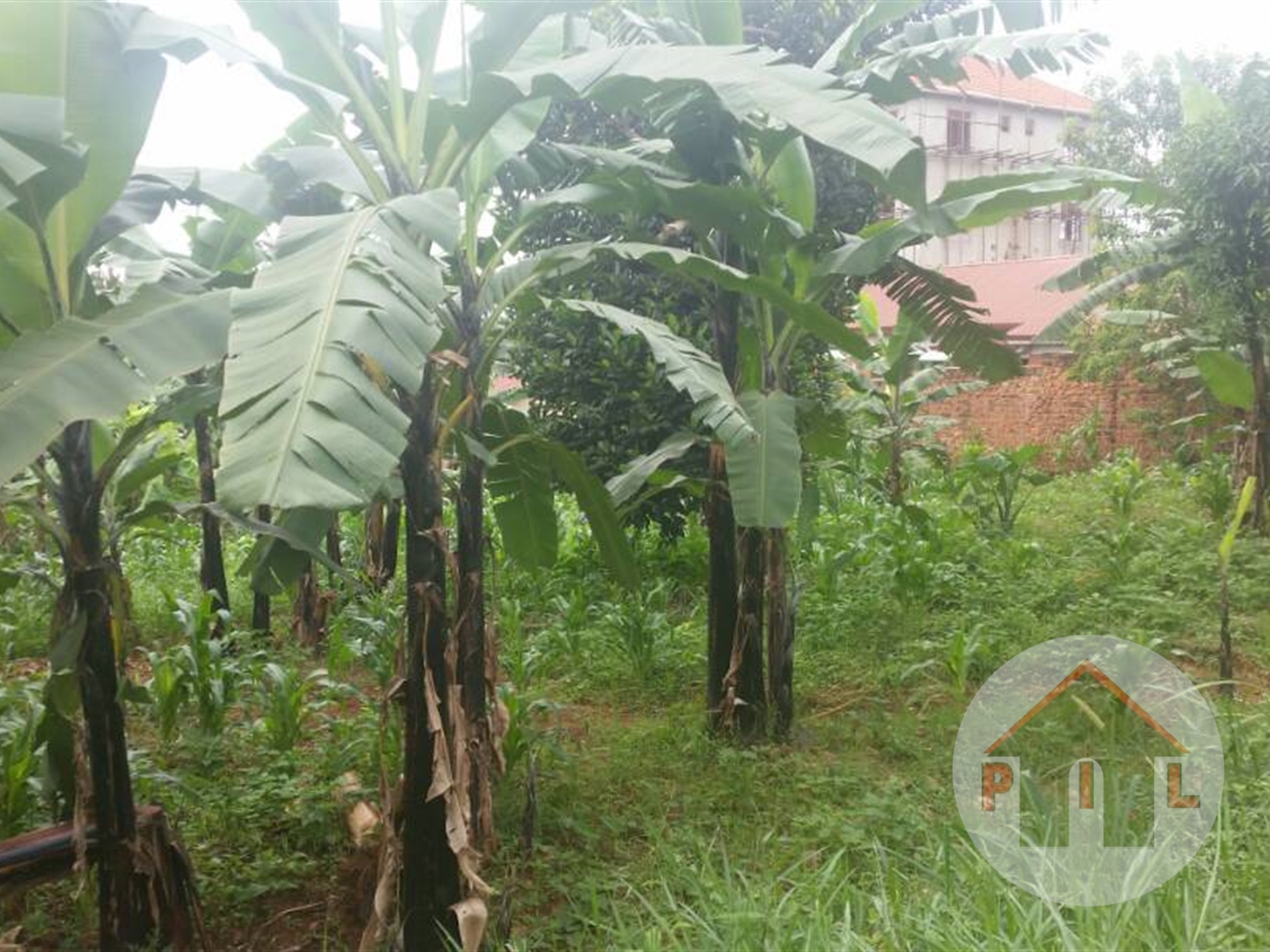 Residential Land for sale in Kiwaatule Kampala