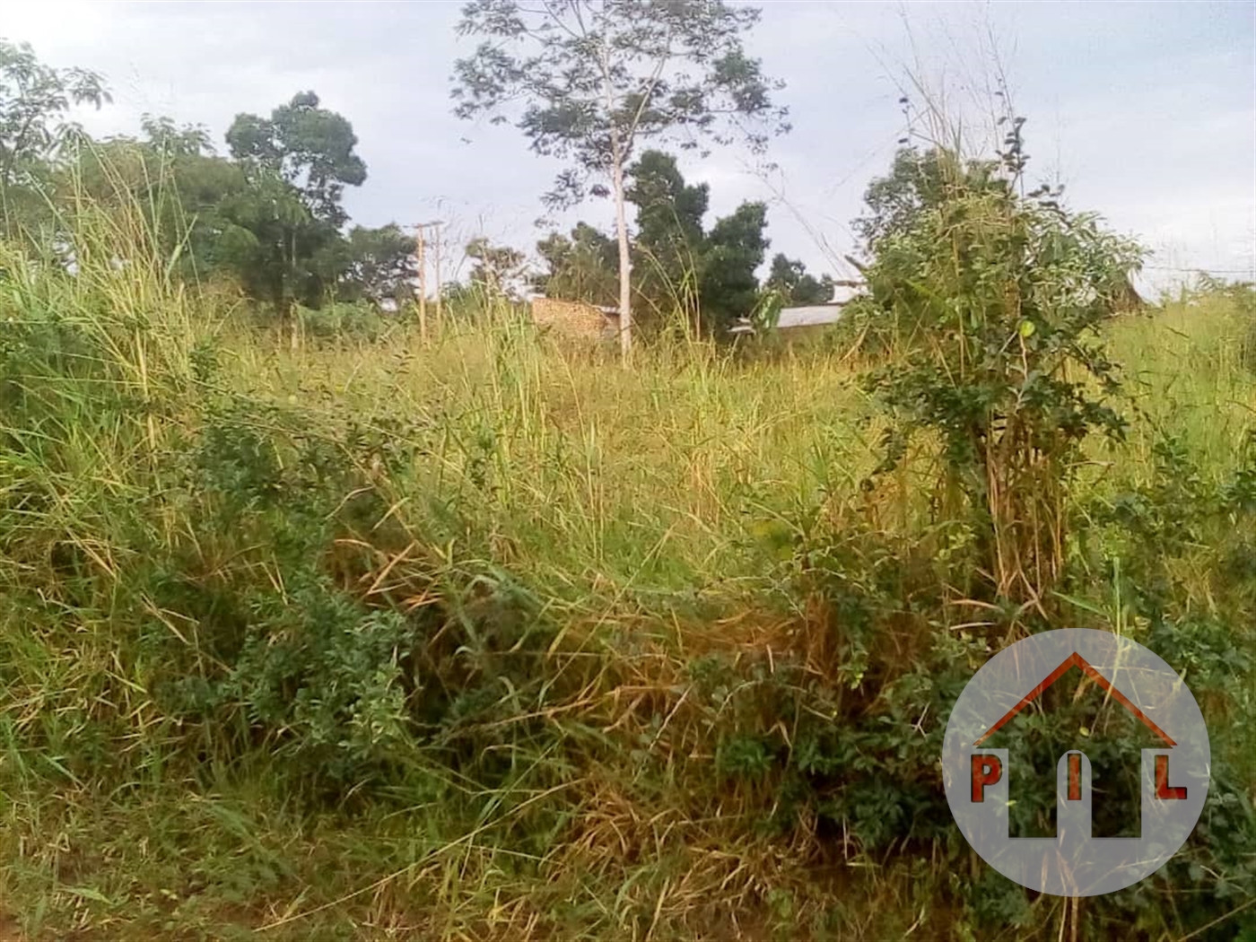 Agricultural Land for sale in Kiyunga Mukono