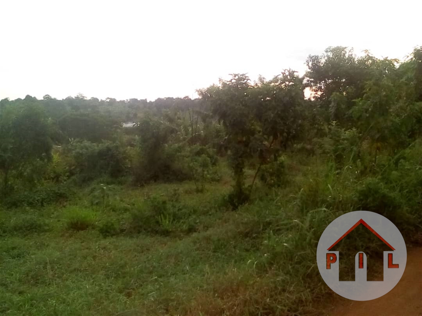 Agricultural Land for sale in Kabaaga Luweero