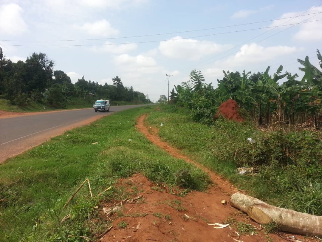 Commercial Land for sale in Namulonge Wakiso