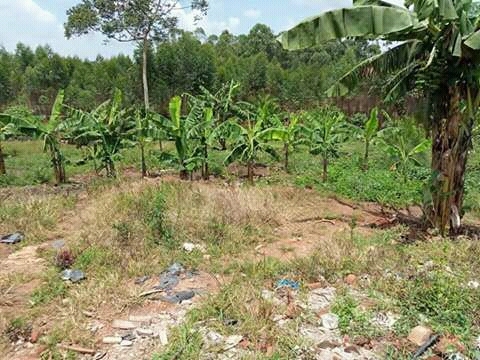 Residential Land for sale in Namugongo Wakiso