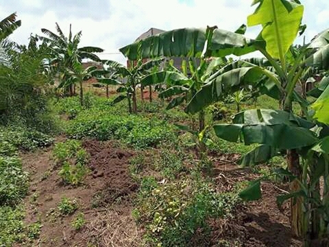 Residential Land for sale in Namugongo Wakiso