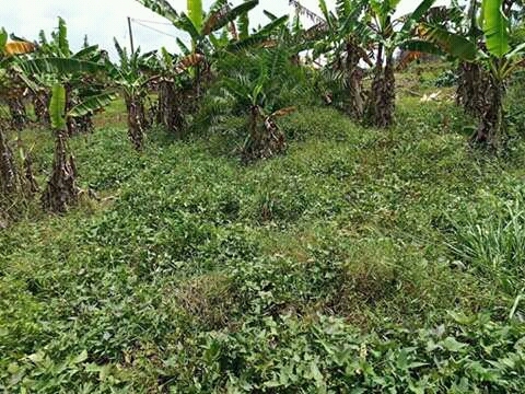 Residential Land for sale in Namugongo Wakiso