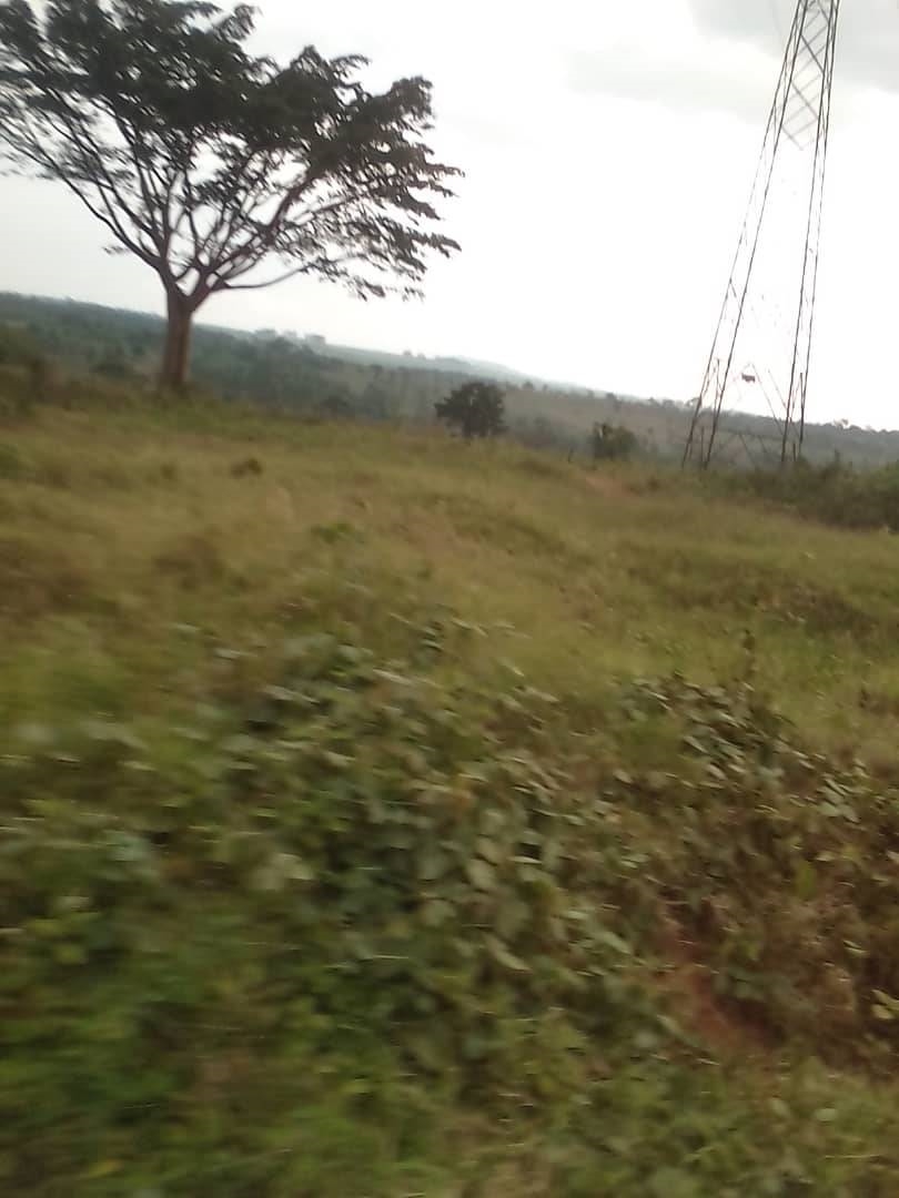 Agricultural Land for sale in Walusubi Mukono