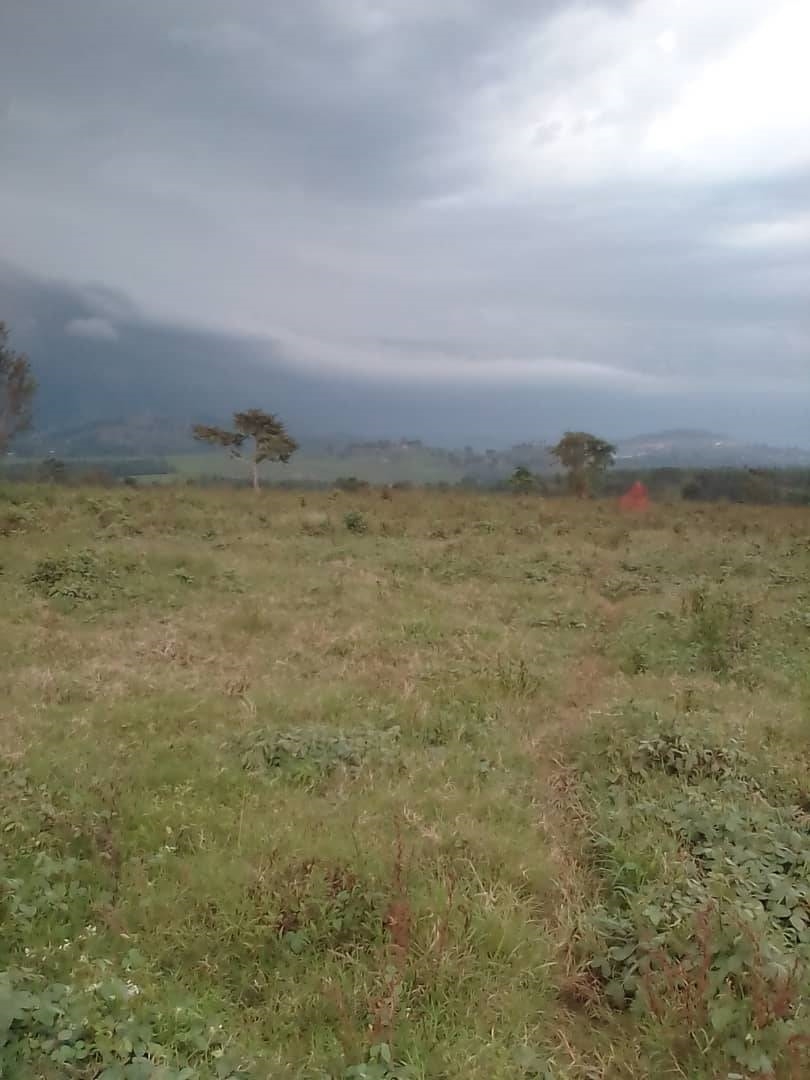 Agricultural Land for sale in Walusubi Mukono