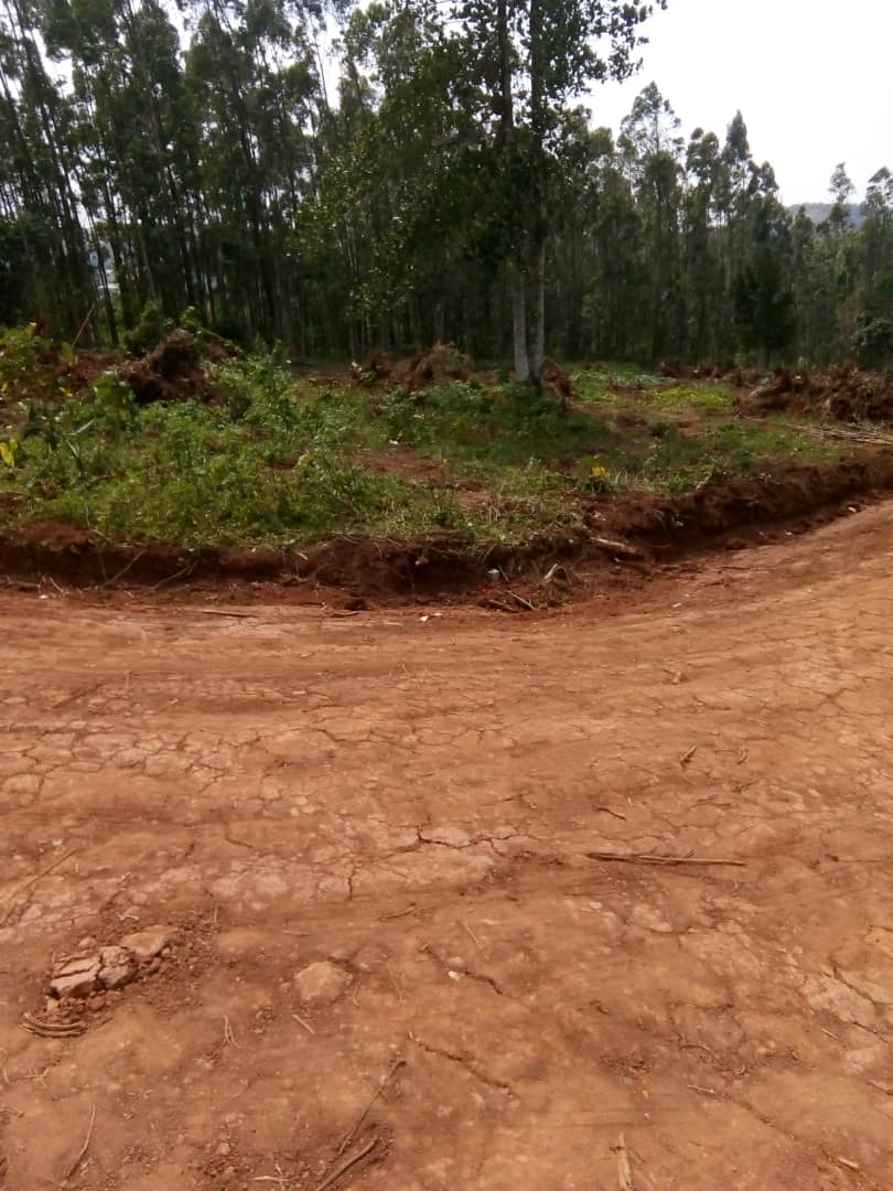 Residential Land for sale in Namayumba Wakiso