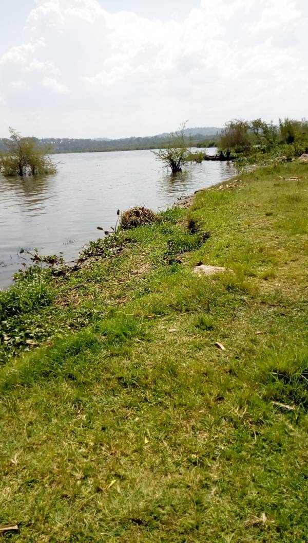 Agricultural Land for sale in Nkokonjeru Mukono