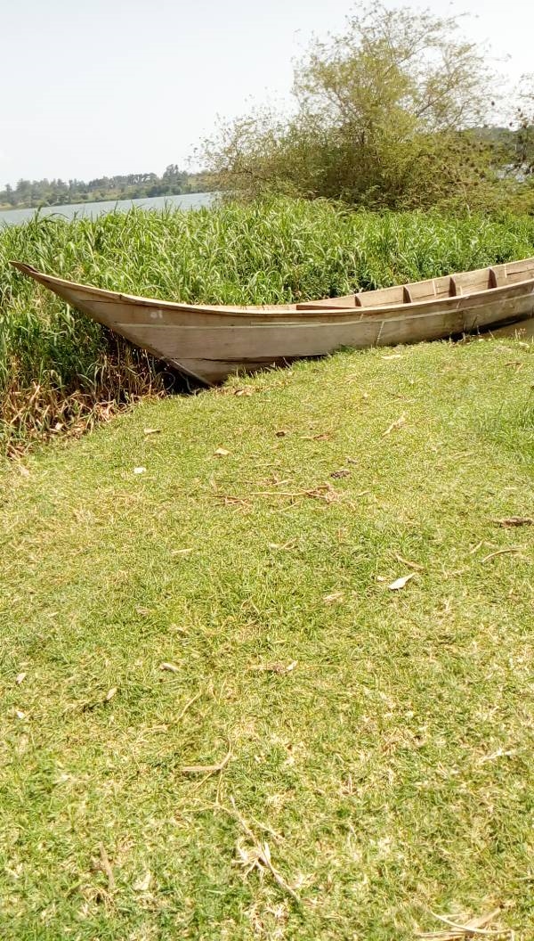 Agricultural Land for sale in Nkokonjeru Mukono