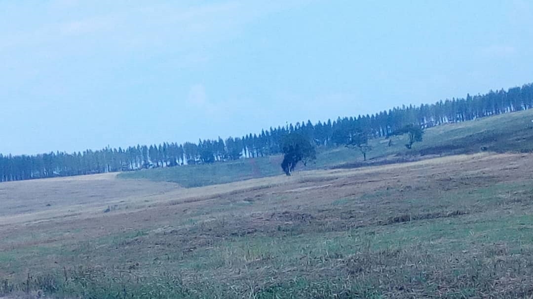 Multipurpose Land for sale in Bulwaanyi Wakiso