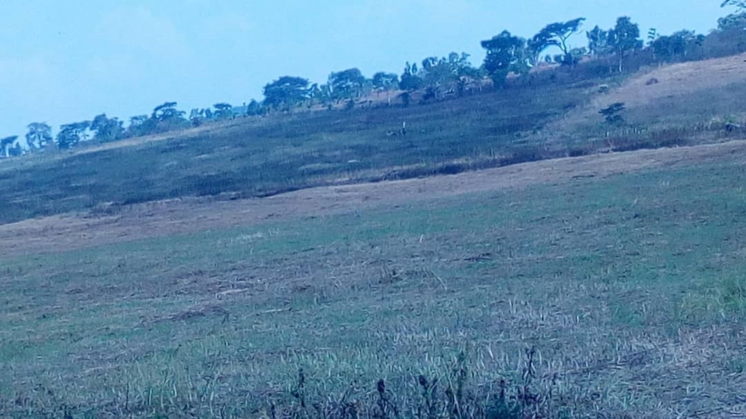 Multipurpose Land for sale in Bulwaanyi Wakiso