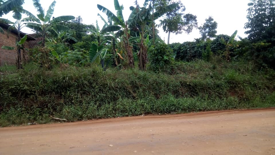 Commercial Land for sale in Kiwenda Wakiso