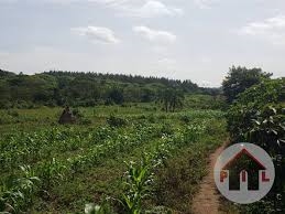 Agricultural Land for sale in Kikyuusa Luweero